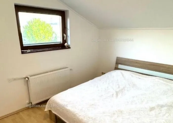 Ket Kiskacsa * בלטונללה